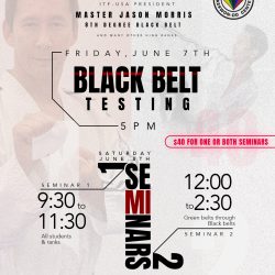 Seminar and Black Belt Testing